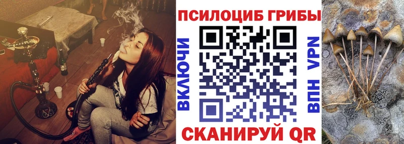 где продают   Мытищи  Псилоцибиновые грибы Psilocybine cubensis 