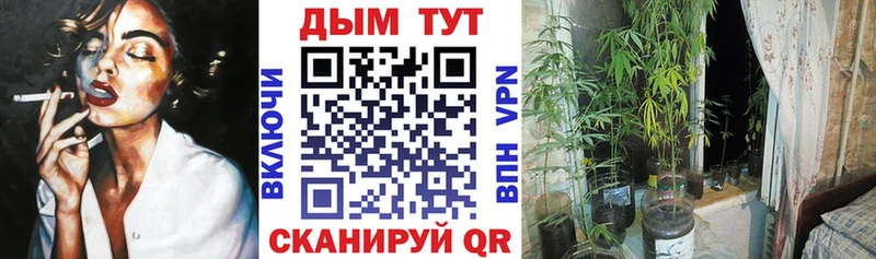 Каннабис THC 21%  купить   Мытищи 